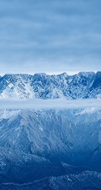 关于sands金沙